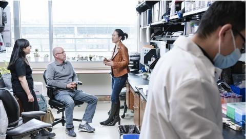 Ces scientifiques de l’Institut Gladstone de l’Université de Californie San Francisco (UCSF) et de l'Université Emory (Géorgie) viennent d’identifier des signatures de lymphocytes T qui peuvent contribuer à expliquer pourquoi certaines personnes développent un COVID-19 sévère (Visuel Gladstone Institutes) 