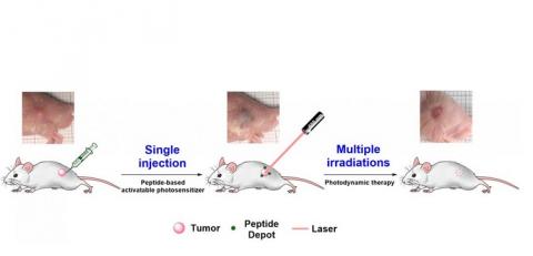 Visuel Korea Institute of Science and Technology (KIST)