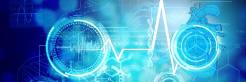 L'hormone du stress joue un rôle déterminant dans la régulation de notre activité cérébrale au cours de la journée L'hormone du stress joue un rôle déterminant dans la régulation de notre activité cérébrale au cours de la journée