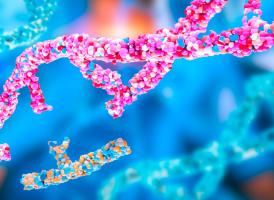 Les technologies CRISPR qui constituent la base de l’édition du génome ou de l’édition de gènes, sont en train de révolutionner la médecine régénérative (Visuel Adobe Stock 1041264544)