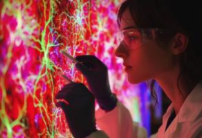 Les chaînes de sucre complexes qui recouvrent toutes nos cellules comme une cotte de mailles, et en particulier les cellules qui constituent la barrière hémato-encéphalique, qui protège le cerveau pourraient jouer un rôle clé dans le déclin cognitif (Visuel Adobe Stock 1071591002) Les chaînes de sucre complexes qui recouvrent toutes nos cellules comme une cotte de mailles, et en particulier les cellules qui constituent la barrière hémato-encéphalique, qui protège le cerveau pourraient jouer un rôle clé dans le déclin cognitif (Visuel Adobe Stock 1071591002)