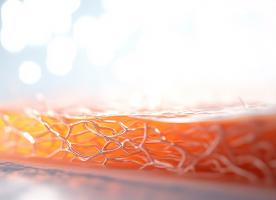 Développé à base de polymères, ce pansement permet l’administration contrôlée de médicaments (Visuel Adobe stock 1112532944) Développé à base de polymères, ce pansement permet l’administration contrôlée de médicaments (Visuel Adobe stock 1112532944)