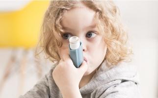 Les enfants qui souffrent d’asthme sont moins susceptibles de réagir aux stéroïdes inhalés s'ils sont en surpoids ou obèses et risquent des crises d'asthme plus fréquentes (Visuel Adobe Stock 113536716) Les enfants qui souffrent d’asthme sont moins susceptibles de réagir aux stéroïdes inhalés s'ils sont en surpoids ou obèses et risquent des crises d'asthme plus fréquentes (Visuel Adobe Stock 113536716)