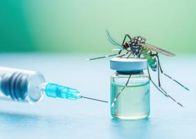 Le vaccin permet notamment de protéger, durant 5 ans, contre le risque d’hospitalisation (Visuel Adobe Stock 1199690721). Le vaccin permet notamment de protéger, durant 5 ans, contre le risque d’hospitalisation (Visuel Adobe Stock 1199690721).