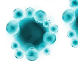 Cette équipe de biologistes et de scientifiques de la Penn State se penche sur la biologie des holobiontes ou supraorganismes ou « assemblages dynamiques de cellules hôtes et microbiennes en interaction » (Visuel Adobe Stock 12357031)