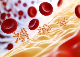 Produire une molécule analogue au cholestérol, contrôlée par la lumière, pour suivre, mieux comprendre et mieux gérer cette molécule essentielle (Visuel Adobe Stock 1240594079) Produire une molécule analogue au cholestérol, contrôlée par la lumière, pour suivre, mieux comprendre et mieux gérer cette molécule essentielle (Visuel Adobe Stock 1240594079)