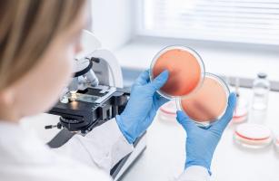 Ces nouvelles données mettent en garde contre une transmission accrue du mpox, toujours en RDC, avec un risque de propagation plus rapide au-delà des frontières (Visuel Adobe Stock 1261232600) Ces nouvelles données mettent en garde contre une transmission accrue du mpox, toujours en RDC, avec un risque de propagation plus rapide au-delà des frontières (Visuel Adobe Stock 1261232600)