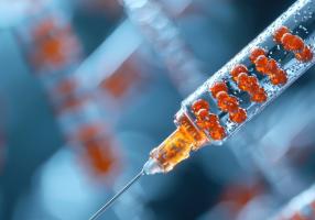 Découverte d'une protéine induite par l'exercice, qui revitalise les muscles et les os vieillissants (Visuel Adobe Stock 1360175448) Découverte d'une protéine induite par l'exercice, qui revitalise les muscles et les os vieillissants (Visuel Adobe Stock 1360175448)