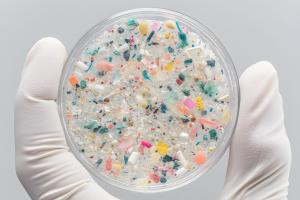 Les microplastiques minent aussi la santé osseuse (Visuel Adobe Stock 1454991029) Les microplastiques minent aussi la santé osseuse (Visuel Adobe Stock 1454991029)