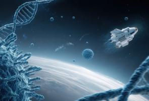 L'étude révèle le rôle clé des gènes affectant la stabilité de l'ARNm dans le développement et l’apparition des maladies auto-immunes (Visuel Adobe Stock 1636076167)