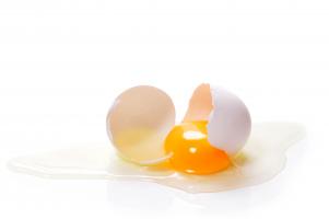 Les œufs végétaliens ou végétaux n'ont jusque-là reçu que peu d’attention (Visuel Adobe Stock 164395577) Les œufs végétaliens ou végétaux n'ont jusque-là reçu que peu d’attention (Visuel Adobe Stock 164395577)