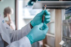 Ces immunologues présentent une signature moléculaire et un test sanguin, qui le permettent, et plus largement jettent les bases d’une réponse vaccinale plus durable (Visuel Adobe Stock 171229859). Ces immunologues présentent une signature moléculaire et un test sanguin, qui le permettent, et plus largement jettent les bases d’une réponse vaccinale plus durable (Visuel Adobe Stock 171229859).