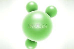 Un complément alimentaire pour la santé intestinale, l'inuline, soulage les douleurs arthritiques (Visuel Adobe Stock 1808298070) Un complément alimentaire pour la santé intestinale, l'inuline, soulage les douleurs arthritiques (Visuel Adobe Stock 1808298070)