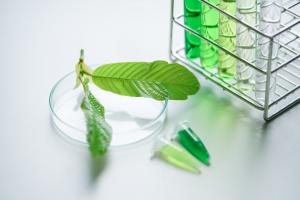 Les chercheurs alertent sur les dangers d’une utilisation du supplément dont le mode d’action apparaît, à forte dose, comparable à celui des médicaments opioïdes. Les chercheurs alertent sur les dangers d’une utilisation du supplément dont le mode d’action apparaît, à forte dose, comparable à celui des médicaments opioïdes.