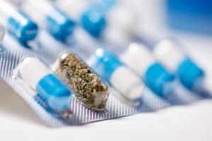 Ces données confirment l’efficacité de la varénicline pour le sevrage de la nicotine, avec consommation de cannabis ou pas (Visuel Adobe Stock 211904220). Ces données confirment l’efficacité de la varénicline pour le sevrage de la nicotine, avec consommation de cannabis ou pas (Visuel Adobe Stock 211904220).