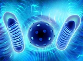 Un médicament anticholestérol pourrait être bénéfique pour les patients atteints de certaines maladies neuropsychiatriques (Visuel Adobe Stock 223678923) Un médicament anticholestérol pourrait être bénéfique pour les patients atteints de certaines maladies neuropsychiatriques (Visuel Adobe Stock 223678923)