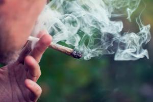 L'étude suggère en effet un lien entre la consommation de cannabis et la prévalence actuelle de l'asthme (Visuel Adobe Stock 226382495) L'étude suggère en effet un lien entre la consommation de cannabis et la prévalence actuelle de l'asthme (Visuel Adobe Stock 226382495)