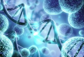 Ce sont de nouvelles molécules qui boostent le système de nettoyage cellulaire, et accélèrent l’élimination des protéines devenues inutiles, défectueuses ou nocives (Visuel Adobe Stock 235711378) Ce sont de nouvelles molécules qui boostent le système de nettoyage cellulaire, et accélèrent l’élimination des protéines devenues inutiles, défectueuses ou nocives (Visuel Adobe Stock 235711378)