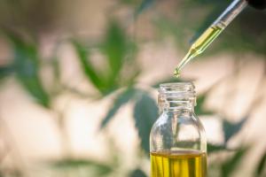 Un point sur l’état de la science, des usages, des formes … et des limites du cannabidiol (Visuel Adobe Stock 253275358) Un point sur l’état de la science, des usages, des formes … et des limites du cannabidiol (Visuel Adobe Stock 253275358)