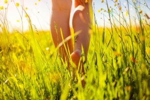 Un cerveau « bien aéré » présente plus de matière grise dans le cortex dorsolatéral-préfrontal droit, une zone impliquée dans la planification des actions et dans le contrôle cognitif (Visuel Adobe stock 268805769) Un cerveau « bien aéré » présente plus de matière grise dans le cortex dorsolatéral-préfrontal droit, une zone impliquée dans la planification des actions et dans le contrôle cognitif (Visuel Adobe stock 268805769)