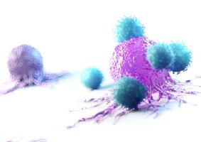 Certains lymphocytes T pourraient constituer des biomarqueurs précoces de la maladie de Parkinson, des années avant l'apparition des symptômes moteurs (Visuel Adobe Stock 268840377) Certains lymphocytes T pourraient constituer des biomarqueurs précoces de la maladie de Parkinson, des années avant l'apparition des symptômes moteurs (Visuel Adobe Stock 268840377)