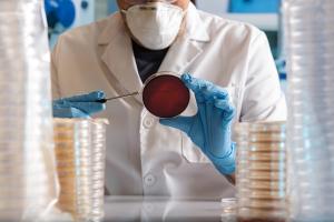 Cette équipe chinoise est parvenue à réussit à camoufler les cellules souches à partir desquelles sont obtenues les cellules hépatiques greffées afin que celles-ci restent invisibles pour le système immunitaire (Visuel Adobe Stock 280430718) Cette équipe chinoise est parvenue à réussit à camoufler les cellules souches à partir desquelles sont obtenues les cellules hépatiques greffées afin que celles-ci restent invisibles pour le système immunitaire (Visuel Adobe Stock 280430718)