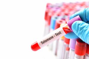 Le raccourcissement des télomères, largement associé à l’âge biologique, est également lié à la dépression et aux troubles cognitifs chez les personnes âgées (Visuel Adobe Stock 287074169) Le raccourcissement des télomères, largement associé à l’âge biologique, est également lié à la dépression et aux troubles cognitifs chez les personnes âgées (Visuel Adobe Stock 287074169)