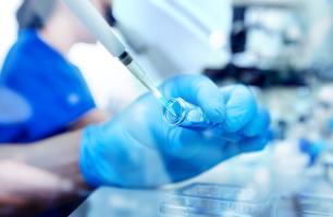 L’arrêt du développement embryonnaire au cours de la FIV est principalement lié à l'âge maternel, et non aux anomalies chromosomiques (Visuel Adobe Stock 296392470)