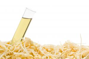 Mieux préciser le rôle du soja et de ses isoflavones dans le cancer du sein (Visuel Adobe Stock 30133782) Mieux préciser le rôle du soja et de ses isoflavones dans le cancer du sein (Visuel Adobe Stock 30133782)