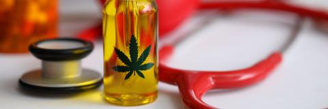 Il existe un risque d’interaction entre le cannabis et certains médicaments cardiovasculaires couramment prescrits. Il existe un risque d’interaction entre le cannabis et certains médicaments cardiovasculaires couramment prescrits.