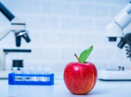 Même les végétaliens consommant suffisamment de protéines totales peuvent manquer de certains acides aminés essentiels (Visuel Adobe Stock 327080640) Même les végétaliens consommant suffisamment de protéines totales peuvent manquer de certains acides aminés essentiels (Visuel Adobe Stock 327080640)