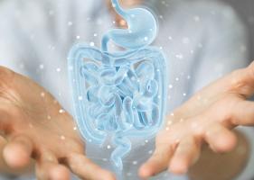 Cette étude identifie des facteurs modifiables permettant de réduire la douleur chronique et la dégradation de qualité de vie et de bien-être mental liées au syndrome du côlon irritable (Visuel Adobe Stock 334934694) Cette étude identifie des facteurs modifiables permettant de réduire la douleur chronique et la dégradation de qualité de vie et de bien-être mental liées au syndrome du côlon irritable (Visuel Adobe Stock 334934694)