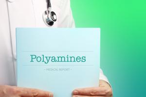 Les polyamines, des molécules qui par définition (poly) exercent plusieurs fonctions aminerévèlent ici une « double nature » avec donc plusieurs actions ou fonctions, de la longévité au cancer (Visuel Adobe Stock 353505464) Les polyamines, des molécules qui par définition (poly) exercent plusieurs fonctions aminerévèlent ici une « double nature » avec donc plusieurs actions ou fonctions, de la longévité au cancer (Visuel Adobe Stock 353505464)