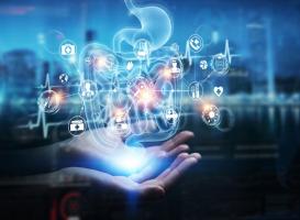 L’exposition aux pesticides peut aussi être fatale pour les bactéries intestinales (Visuel Adobe Stock 377835872) L’exposition aux pesticides peut aussi être fatale pour les bactéries intestinales (Visuel Adobe Stock 377835872)