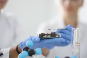 L'étude précise le rôle crucial des minéraux dans la régulation de l'expression des gènes impliqués dans le renouvellement, la restauration et la croissance des tissus lésés (Visuel Adobe Stock 391494199)