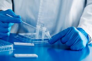 Les anticorps muqueux présents dans les voies respiratoires et notamment dans les muqueuses nasales, sont ceux qui nous protègent, en première intention, contre l'infection par le variant Omicron (Visuel Adobe Stock 409238884)