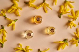 Cette étude révèle le potentiel d’une plante, forsythiae fructus, déjà utilisée en médecine traditionnelle chinoise pour ses vertus antioxydantes et anti-infectieuses, ici dans l'atténuation de l'inflammation gastro-intestinale et des nausées induites par la chimiothérapie (Visuel Adobe Stock 425890142) Cette étude révèle le potentiel d’une plante, forsythiae fructus, déjà utilisée en médecine traditionnelle chinoise pour ses vertus antioxydantes et anti-infectieuses, ici dans l'atténuation de l'inflammation gastro-intestinale et des nausées induites par la chimiothérapie (Visuel Adobe Stock 425890142)