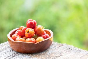 L'étude révèle le potentiel des plantes brésiliennes dans la lutte contre le cancer de l'estomac (Visuel Adobe Stock 461020195) L'étude révèle le potentiel des plantes brésiliennes dans la lutte contre le cancer de l'estomac (Visuel Adobe Stock 461020195)