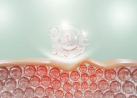 C'est une nouvelle méthode qui permet d’identifier les cellules « âgées » (Visuel Adobe Stock 485327423 C'est une nouvelle méthode qui permet d’identifier les cellules « âgées » (Visuel Adobe Stock 485327423)