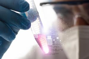 Le type de macrophages présents dans le corps d’un patient permet de déterminer le risque d’inflammation sévère en réponse à l’infection COVID-19 (Visuel Adobe Stock 494562641) Le type de macrophages présents dans le corps d’un patient permet de déterminer le risque d’inflammation sévère en réponse à l’infection COVID-19 (Visuel Adobe Stock 494562641).