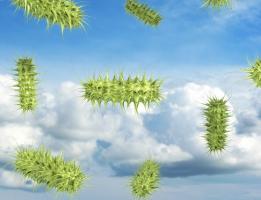 Des antibiotiques capables aussi de réguler les niveaux d’énergie des bactéries pourraient permettre d’éliminer ce mécanisme de résistance bactérienne (Visuel Adobe Stock 57485083) Des antibiotiques capables aussi de réguler les niveaux d’énergie des bactéries pourraient permettre d’éliminer ce mécanisme de résistance bactérienne (Visuel Adobe Stock 57485083).