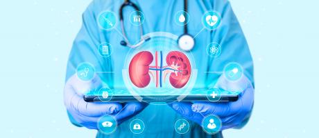 Parvenir, « en bioingénierie » à reconstituer un rein est donc un exemple à la fois utile pour la recherche médicale mais aussi une prouesse au niveau scientifique (VisuelAdobe Stock 586776962) Parvenir, « en bioingénierie » à reconstituer un rein est donc un exemple à la fois utile pour la recherche médicale mais aussi une prouesse au niveau scientifique (VisuelAdobe Stock 586776962)