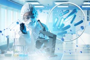 C’est bien la découverte de bactéries qui œuvrent contre la prise de poids et pourraient donc constituer la base de futurs traitements contre l’obésité (Visuel Adobe stock 588038397)