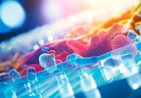 Le VIH se dissimule dans l’ADN des cellules infectées grâce à des motifs d’ADN uniques (Visuel Adobe Stock 624645864) Le VIH se dissimule dans l’ADN des cellules infectées grâce à des motifs d’ADN uniques (Visuel Adobe Stock 624645864)