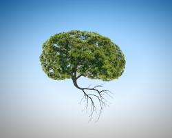 Une exposition plus élevée à un certain type de pollution liée au trafic et aux matières particulaires est bien liée à un risque accru de démence (Visuel Adobe Stock 76195834) Une exposition plus élevée à un certain type de pollution liée au trafic et aux matières particulaires est bien liée à un risque accru de démence (Visuel Adobe Stock 76195834)