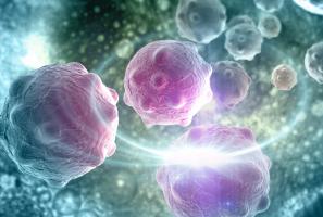 Comprendre comment les cellules cancéreuses détournent les protéines de l'horloge circadienne est un grand pas vers l'arrêt de la propagation du cancer (Visuel Adobe Stock 76898975) Comprendre comment les cellules cancéreuses détournent les protéines de l'horloge circadienne est un grand pas vers l'arrêt de la propagation du cancer (Visuel Adobe Stock 76898975)