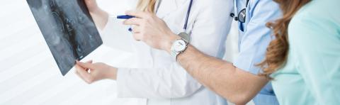 Les androgènes façonnent le développement du cerveau, induisant des différences de comportement, dont plus d'agressivité. 