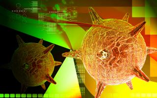 La prévalence du diabète de type 2 augmente et est plus élevée chez les personnes positives pour les herpès virus (Visuel Adobe Stock 80438583). La prévalence du diabète de type 2 augmente et est plus élevée chez les personnes positives pour les herpès virus (Visuel Adobe Stock 80438583).