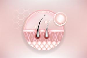 Ce nouveau processus de cicatrisation comprend et permet la repousse des poils sur la peau blessée (Visuel Adobe Stock 845458938) Ce nouveau processus de cicatrisation comprend et permet la repousse des poils sur la peau blessée (Visuel Adobe Stock 845458938)