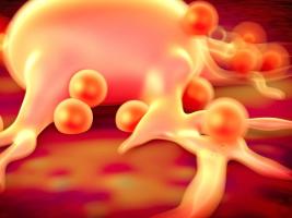 La protéine clusterine liée à un risque accru de mortalité et de maladie cardiovasculaire, à une pression artérielle élevée, à des taux de cholestérol nocifs et à une stéatose hépatique, constitue donc une cible thérapeutique prometteuse. La protéine clusterine liée à un risque accru de mortalité et de maladie cardiovasculaire, à une pression artérielle élevée, à des taux de cholestérol nocifs et à une stéatose hépatique, constitue donc une cible thérapeutique prometteuse.